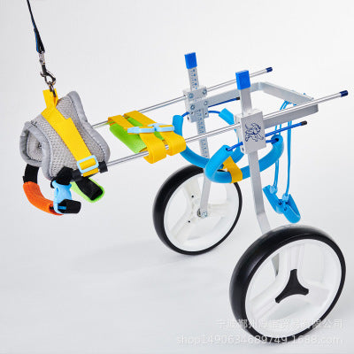 Scooter pour chiens handicapés