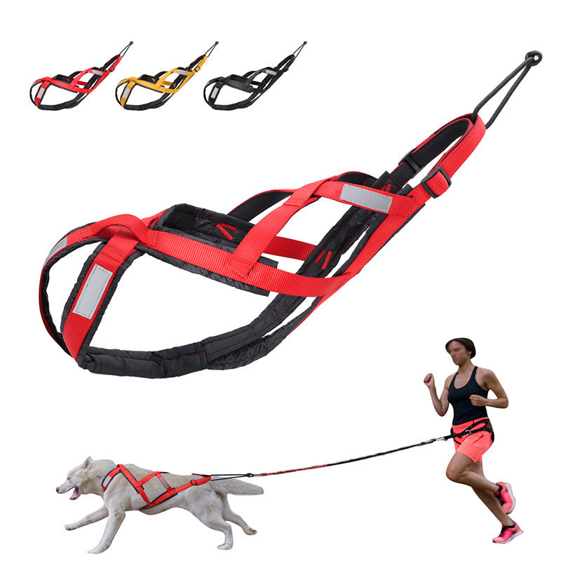 Gilet pour Chien Grand Taille Alaska Sled Dog avec Corde de Maintien