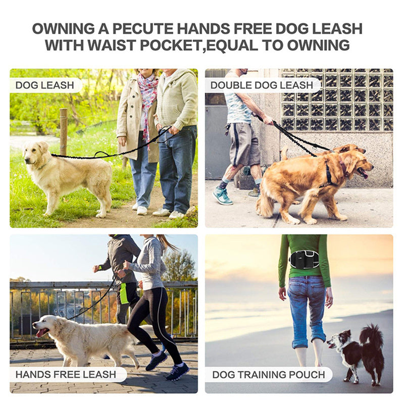 Laisse d'Entraînement pour Chien avec Sac à Taille, Laisse Sans Mains pour Course et Promenade en Extérieur, Sac Portatif pour Nourriture et Eau pour Chien, Sacs de Rangement