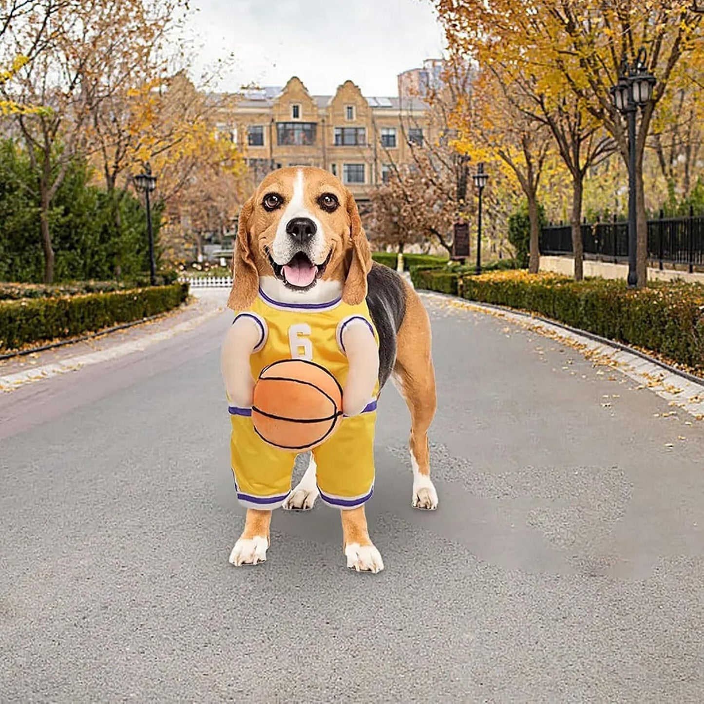 Costume pour Chien - Joueur de Basketball pour Animaux de Compagnie - Costumes d'Halloween Amusants pour Chiens, Tenue Sportive Cosplay pour Chiens Petits