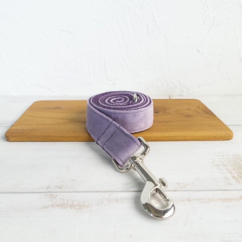 Collier et laisse pour chiens de compagnie