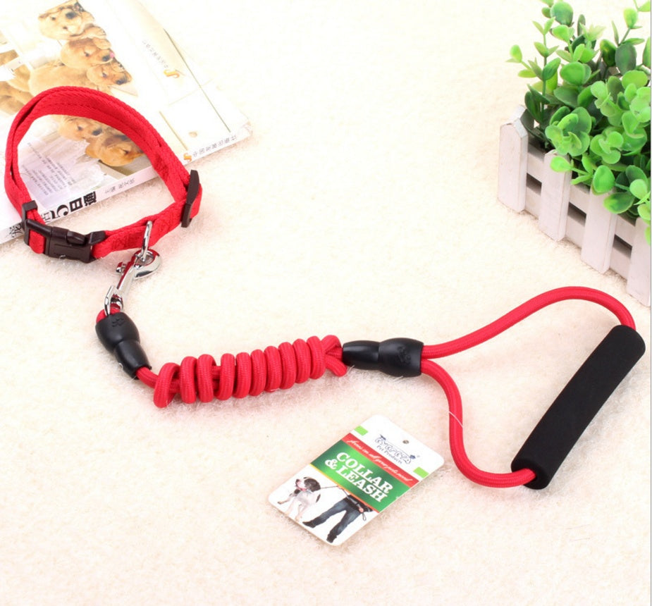 Chaîne, collier et harnais pour chien.