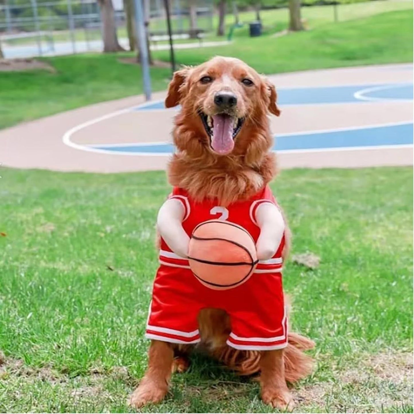 Costume pour Chien - Joueur de Basketball pour Animaux de Compagnie - Costumes d'Halloween Amusants pour Chiens, Tenue Sportive Cosplay pour Chiens Petits