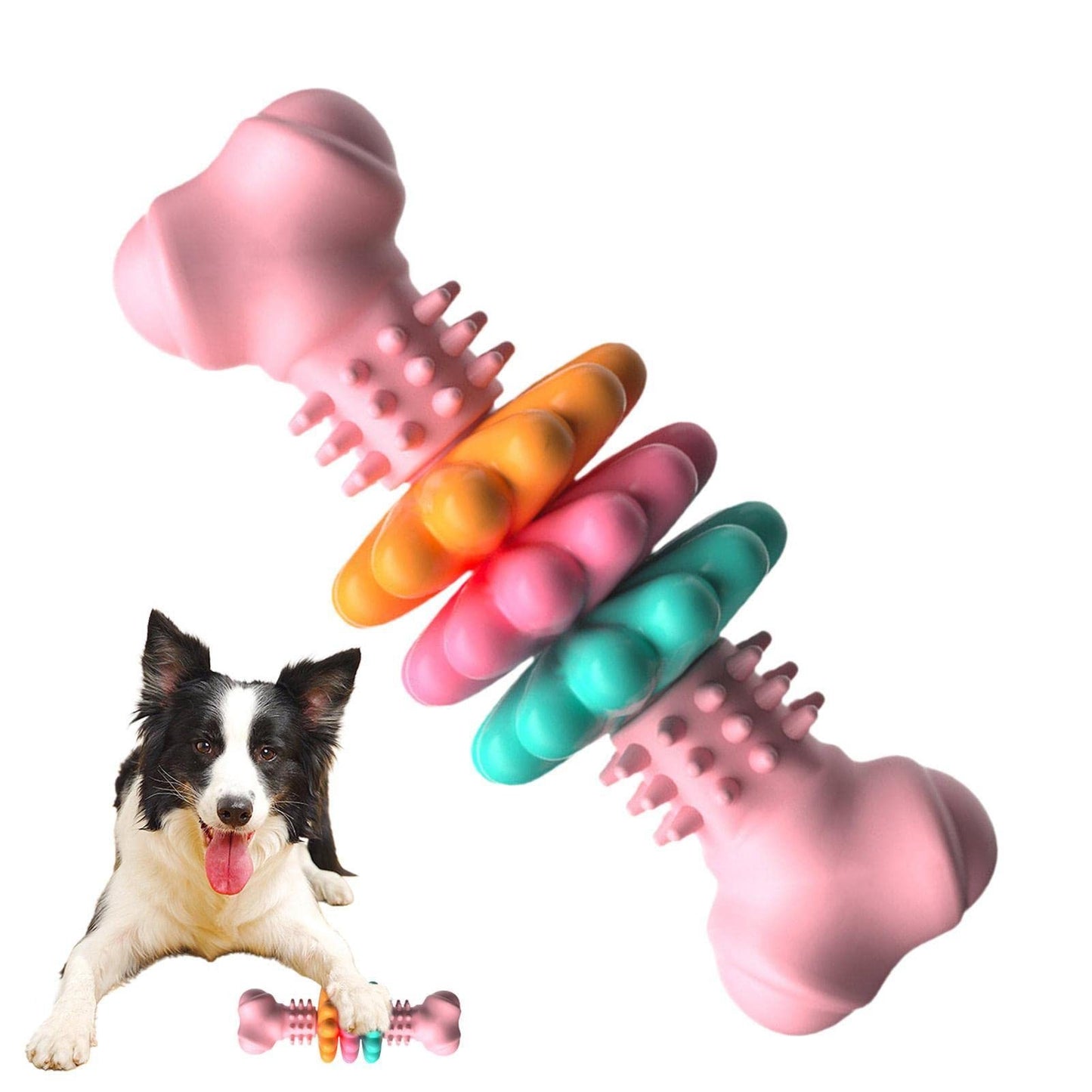 Jouet à Mâcher pour Chien Type Os, Jouet de Nettoyage des Dents pour Chien, Os en TPR Indestructible, Jouet Résistant aux Morsures, Jouet pour Dents de Lait, Produits pour Animaux.