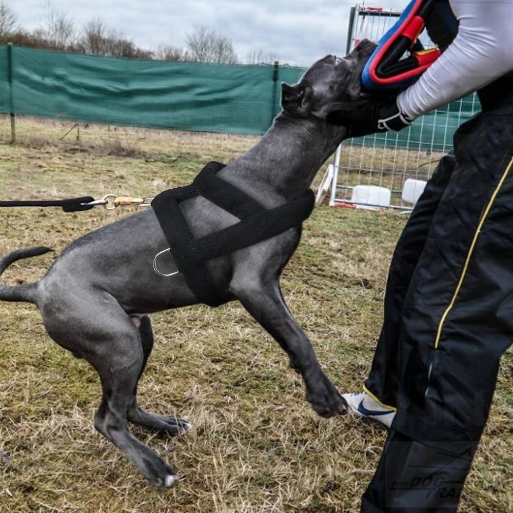 Harnais de Traction pour Chien avec Rembourrage Doux, Harnais pour Chiens Pitbull.