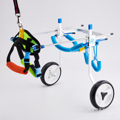 Scooter pour chiens handicapés