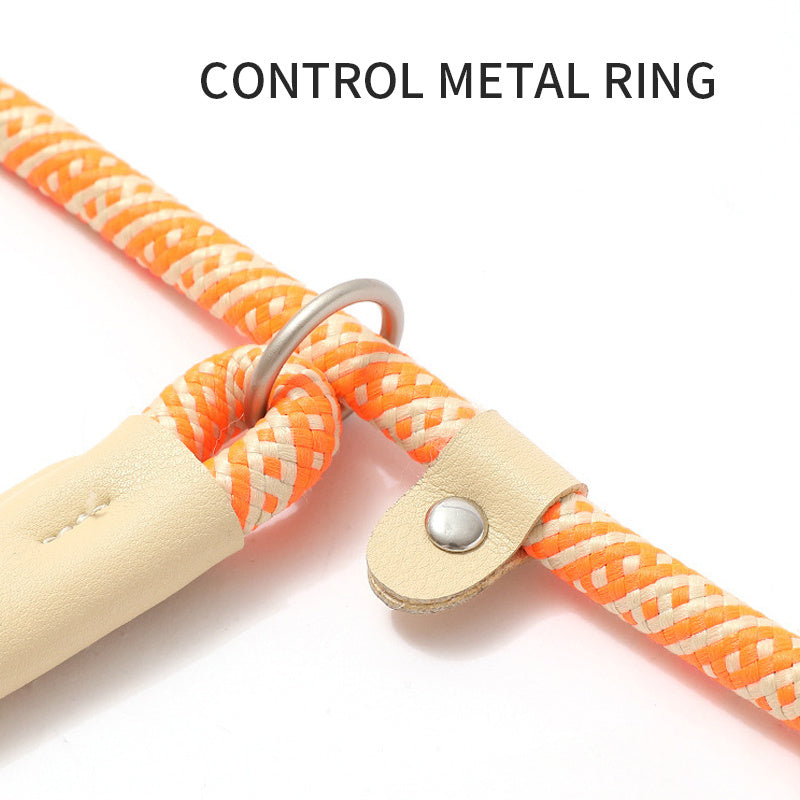 Corde pour Chien, Corde de Traction pour Animaux, Sangle pour Chiot