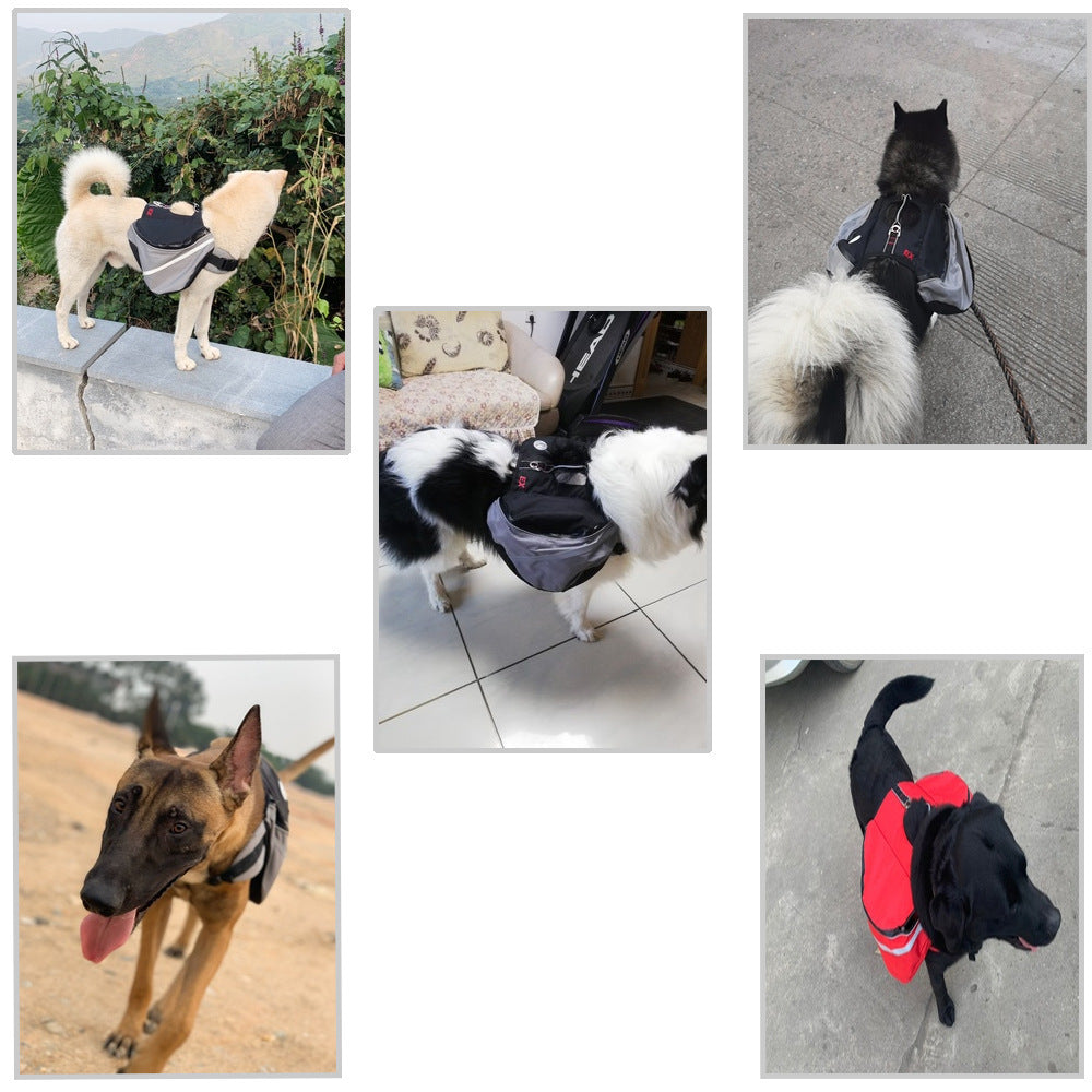 Sac à dos pour chiens