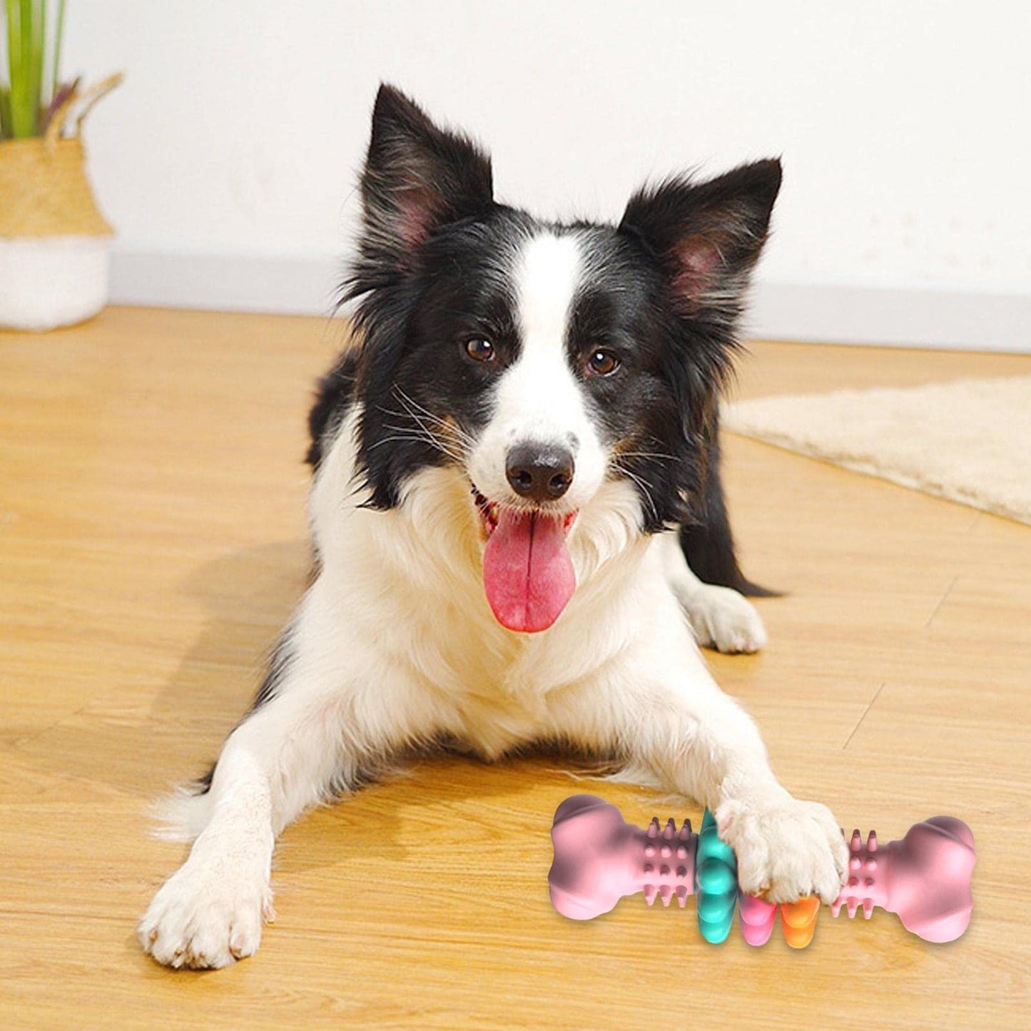 Jouet à Mâcher pour Chien Type Os, Jouet de Nettoyage des Dents pour Chien, Os en TPR Indestructible, Jouet Résistant aux Morsures, Jouet pour Dents de Lait, Produits pour Animaux.