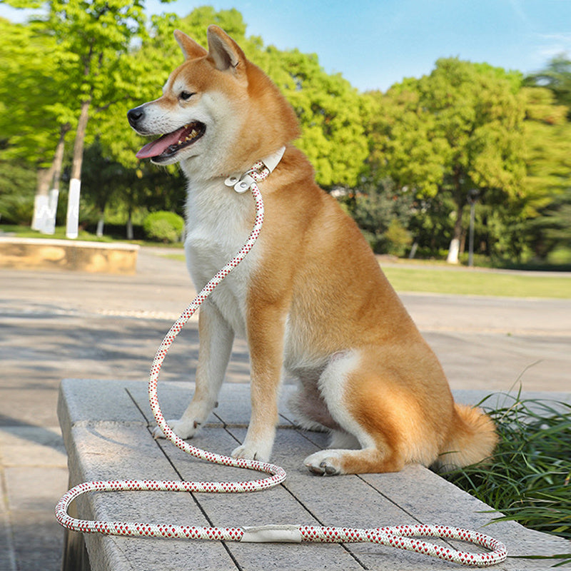 Corde pour Chien, Corde de Traction pour Animaux, Sangle pour Chiot