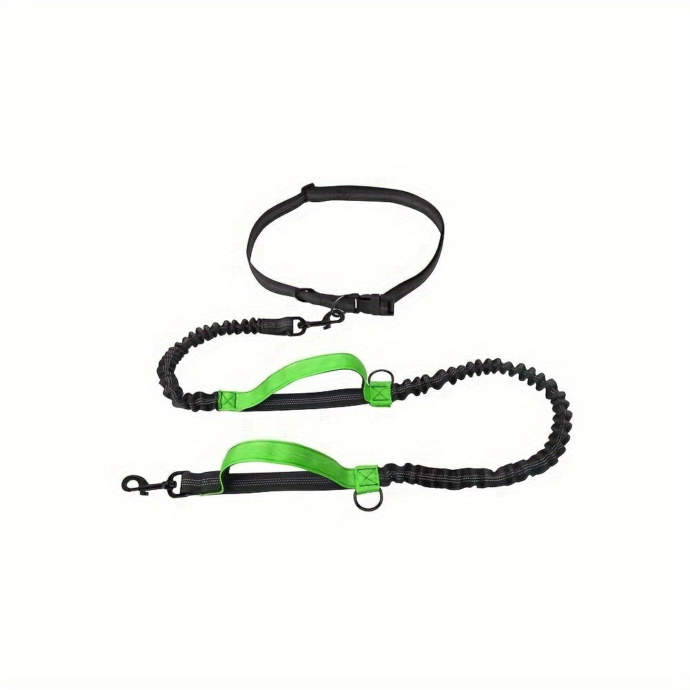Laisse pour chien mains libres pour courir et marcher - Nylon durable, ceinture réglable, idéale pour les animaux actifs