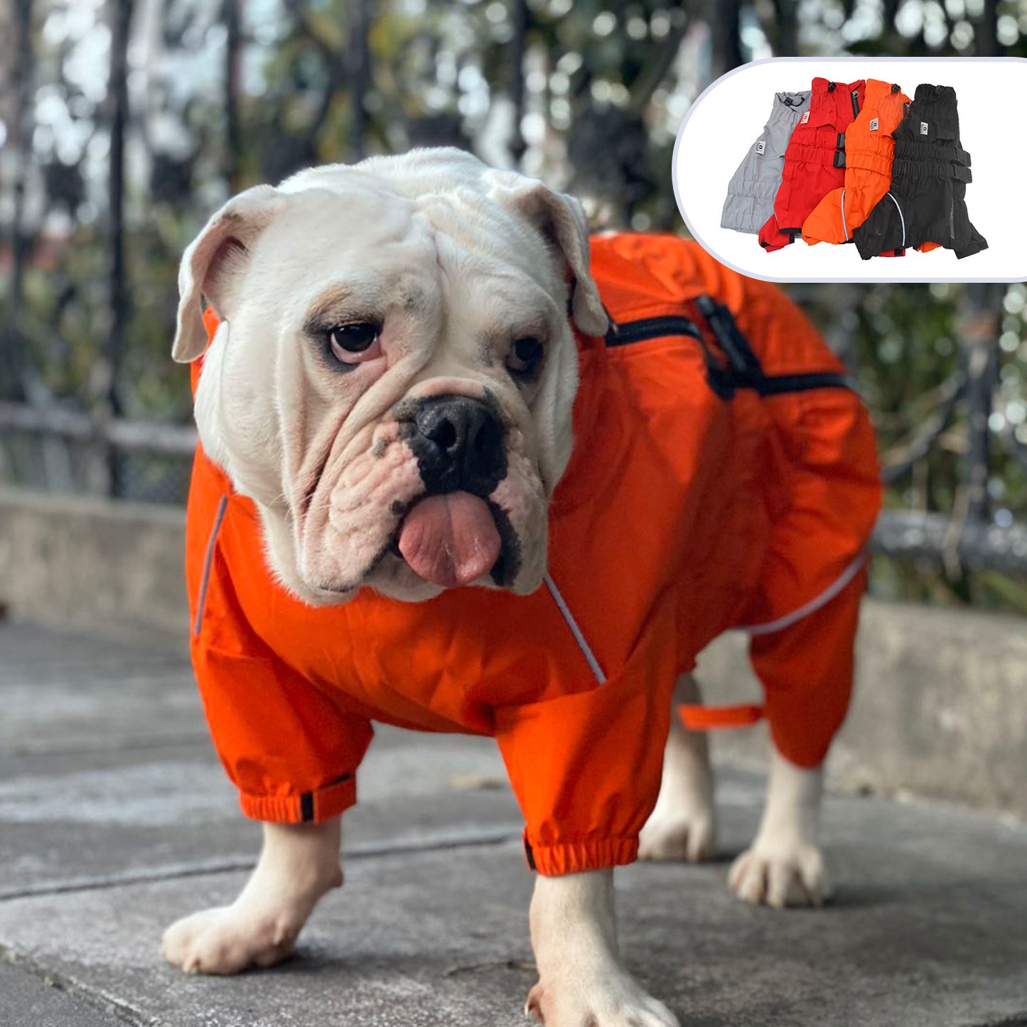 Imperméable pour chien