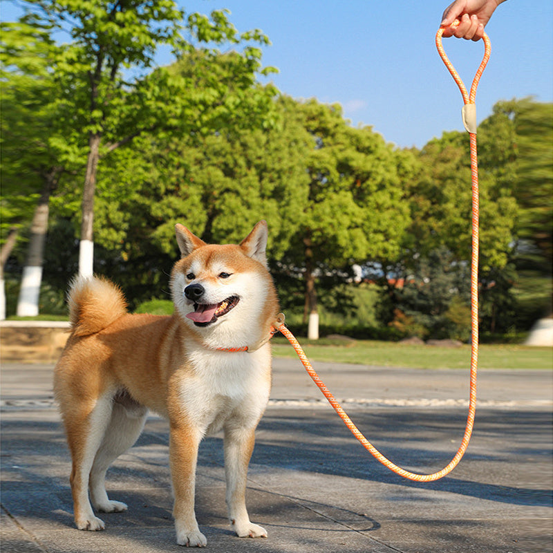 Corde pour Chien, Corde de Traction pour Animaux, Sangle pour Chiot