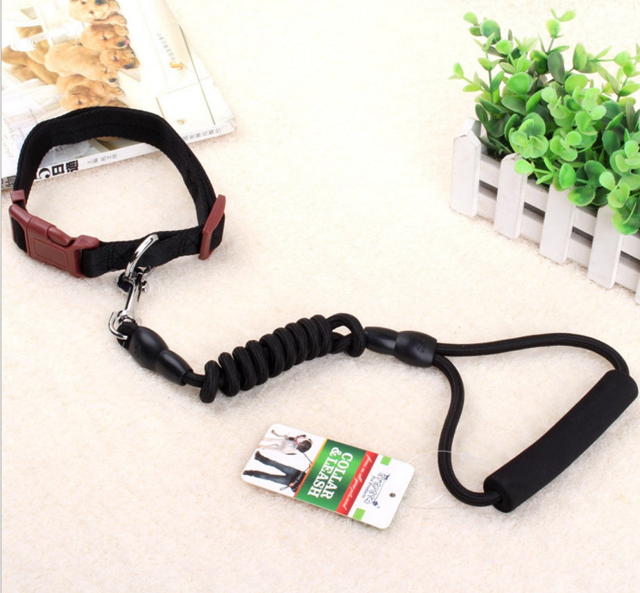 Chaîne, collier et harnais pour chien.