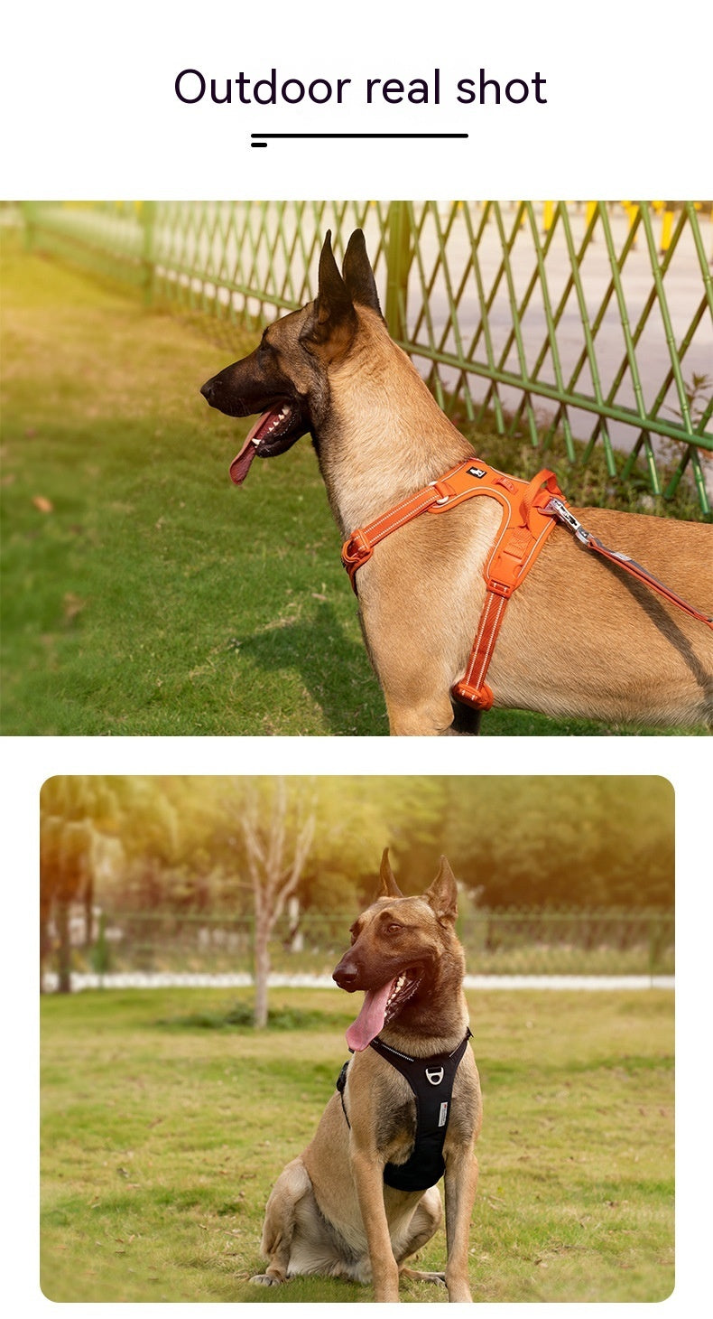 Harnais pour Chiens, Corde de Main Réfléchissante pour Animaux.