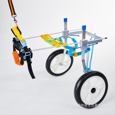 Scooter pour chiens handicapés