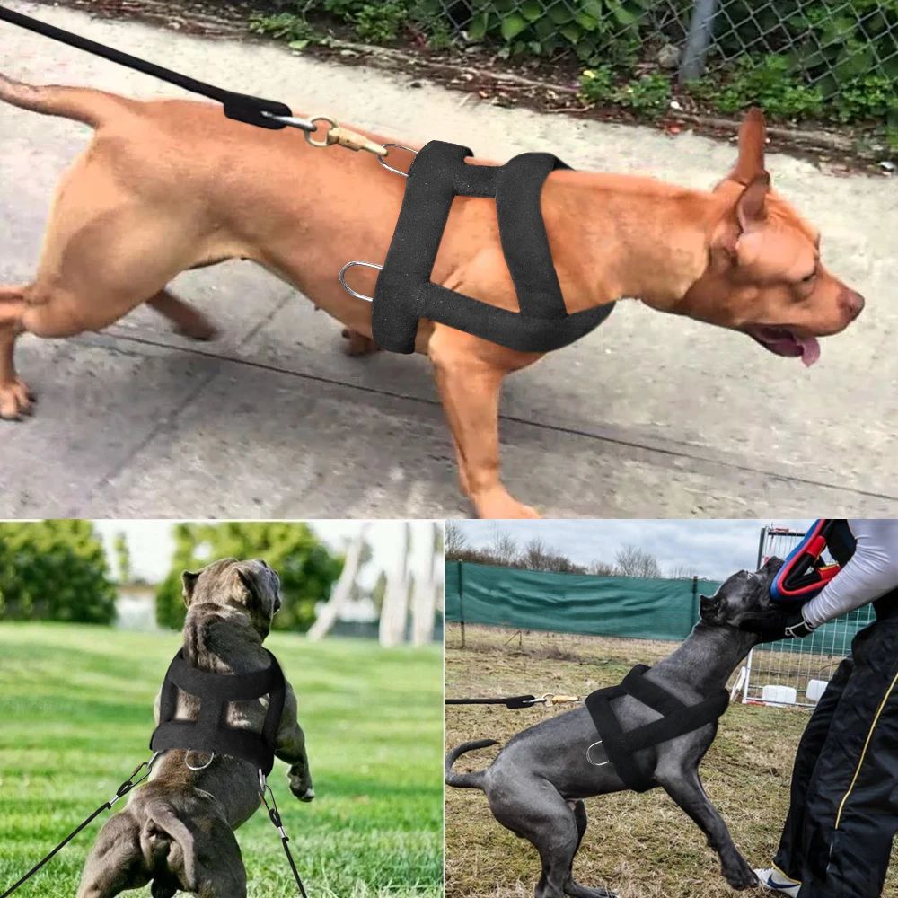 Harnais de Traction pour Chien avec Rembourrage Doux, Harnais pour Chiens Pitbull.