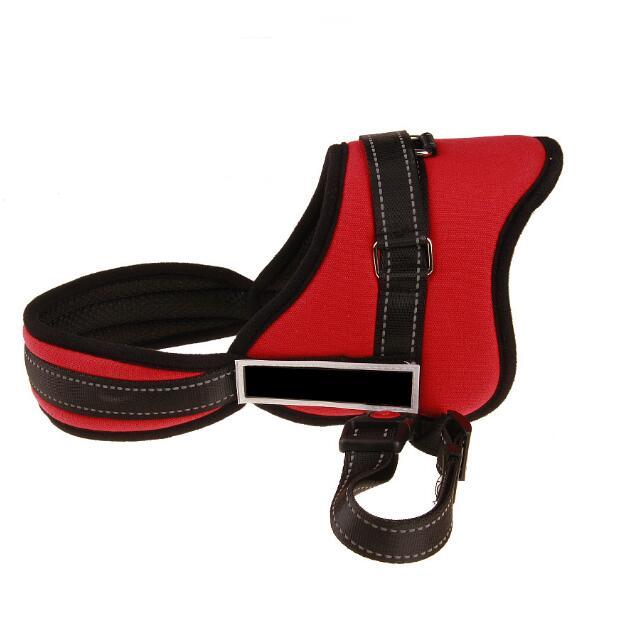 Harnais de sport large pour chiens à large poitrine, adapté à l'entraînement.