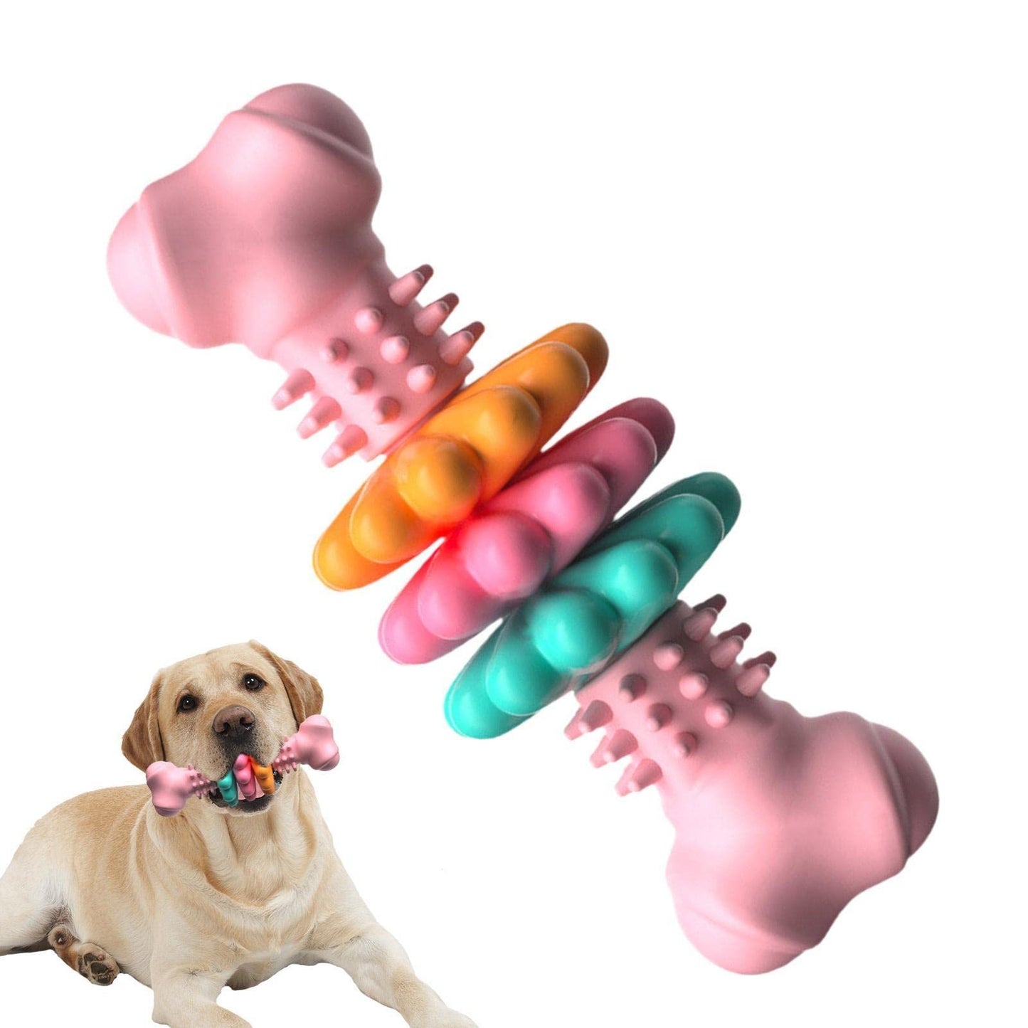 Jouet à Mâcher pour Chien Type Os, Jouet de Nettoyage des Dents pour Chien, Os en TPR Indestructible, Jouet Résistant aux Morsures, Jouet pour Dents de Lait, Produits pour Animaux.