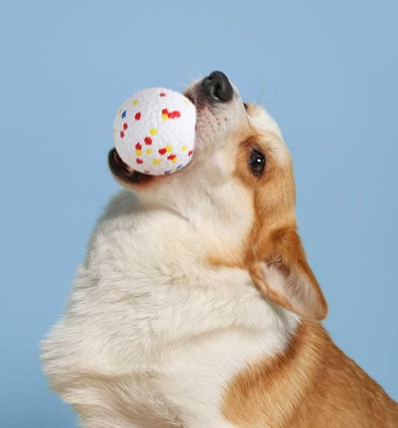 Balle Jouet pour Chien, Jouet Intelligente et Interactif, Jouet à Mâcher Puissant et Doux pour Animaux, Convient aux Chiens de Taille Moyenne et Grande.