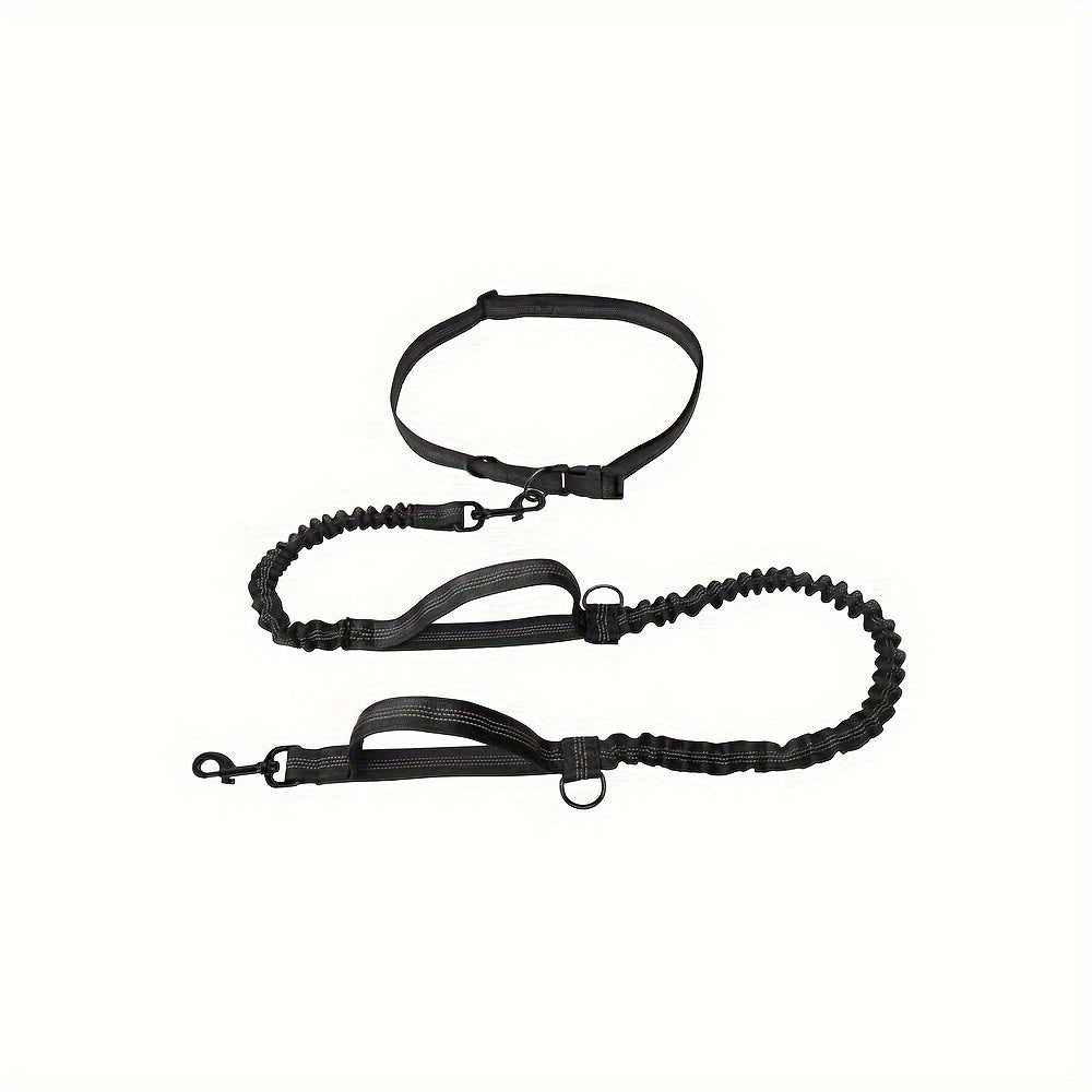 Laisse pour chien mains libres pour courir et marcher - Nylon durable, ceinture réglable, idéale pour les animaux actifs