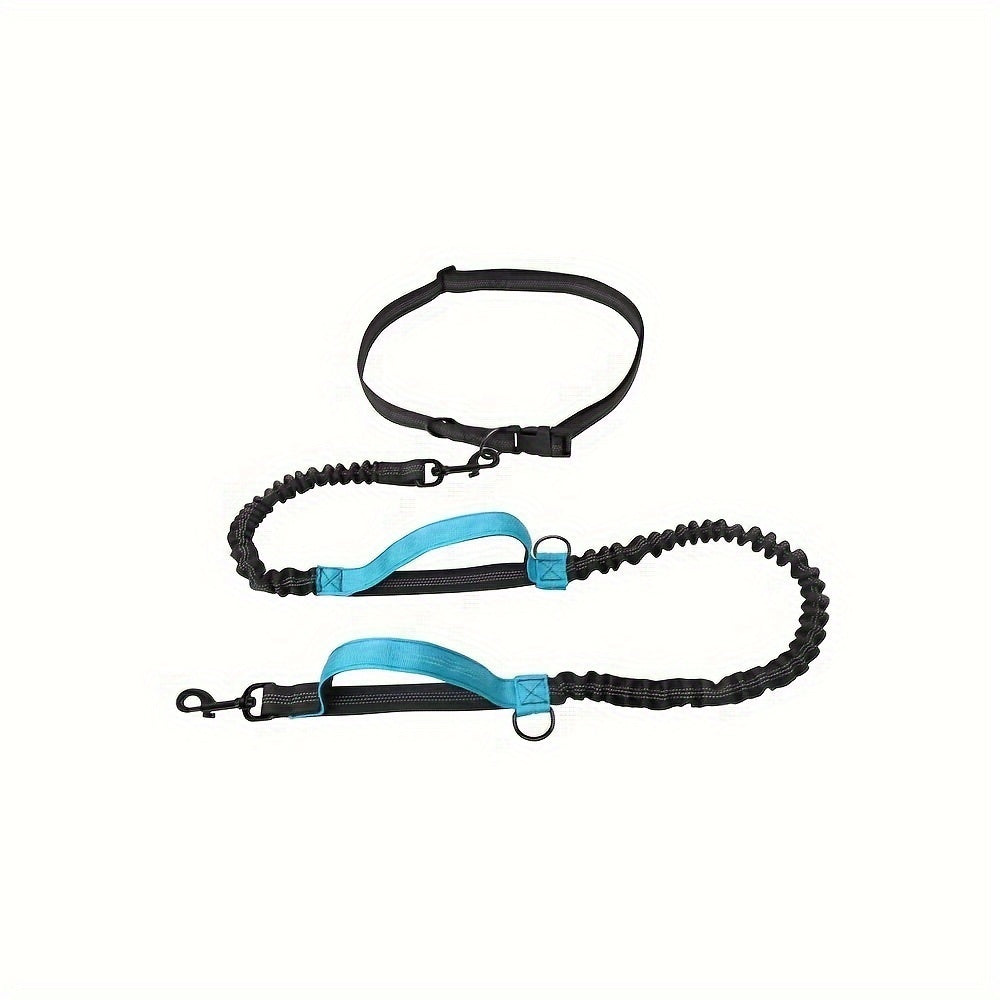 Laisse pour chien mains libres pour courir et marcher - Nylon durable, ceinture réglable, idéale pour les animaux actifs