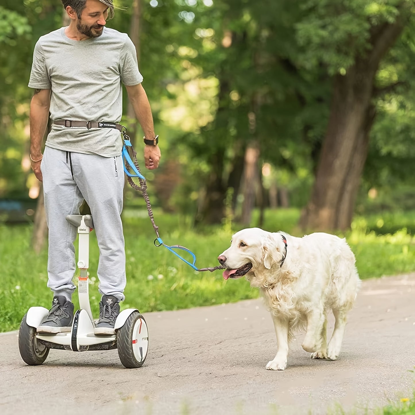 Laisse pour chien mains libres pour courir et marcher - Nylon durable, ceinture réglable, idéale pour les animaux actifs