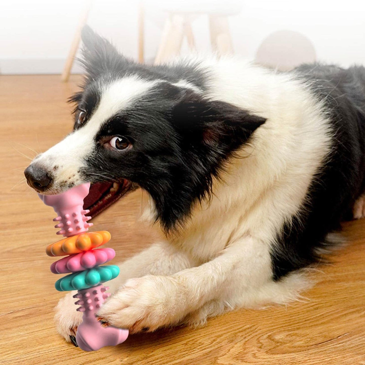 Jouet à Mâcher pour Chien Type Os, Jouet de Nettoyage des Dents pour Chien, Os en TPR Indestructible, Jouet Résistant aux Morsures, Jouet pour Dents de Lait, Produits pour Animaux.