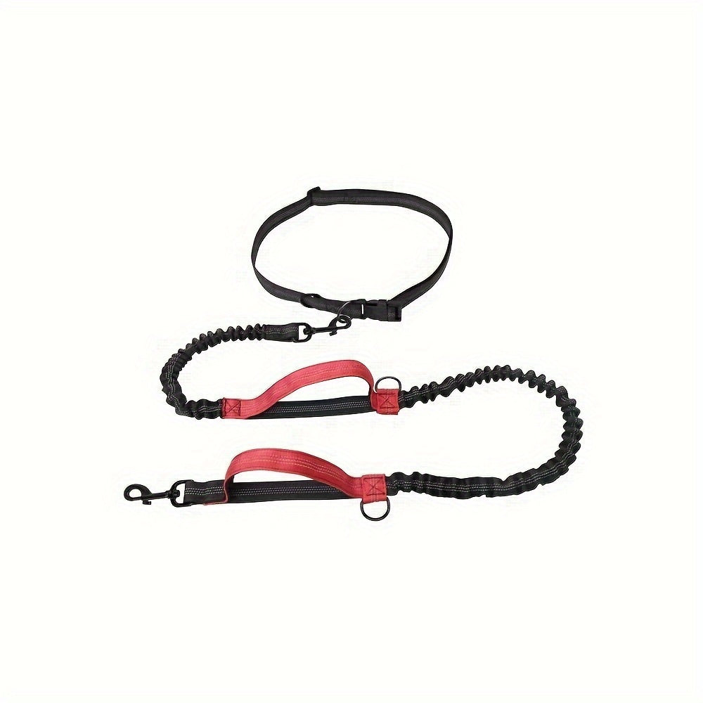 Laisse pour chien mains libres pour courir et marcher - Nylon durable, ceinture réglable, idéale pour les animaux actifs
