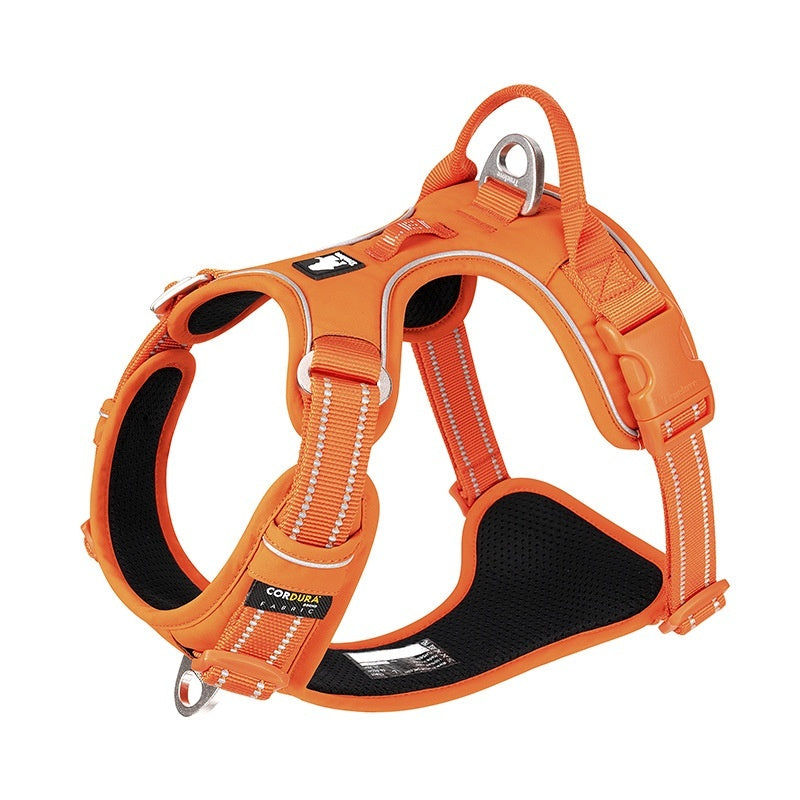 Harnais pour Chiens, Corde de Main Réfléchissante pour Animaux.