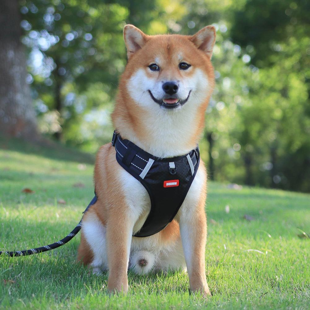 Harnais pour chien en nylon sans traction, respirant, avec gilet réfléchissant pour petits et grands chiens, idéal pour la course en extérieur et l'entraînement des chiens.