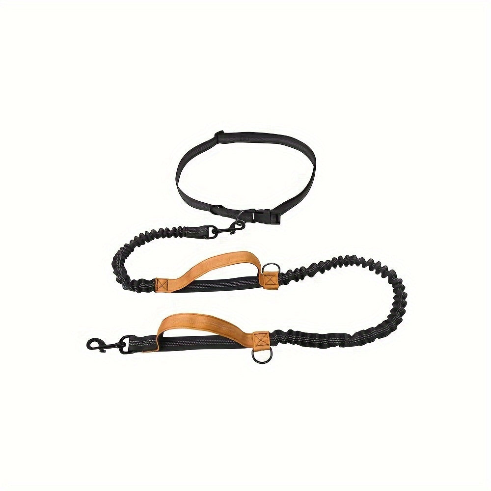 Laisse pour chien mains libres pour courir et marcher - Nylon durable, ceinture réglable, idéale pour les animaux actifs