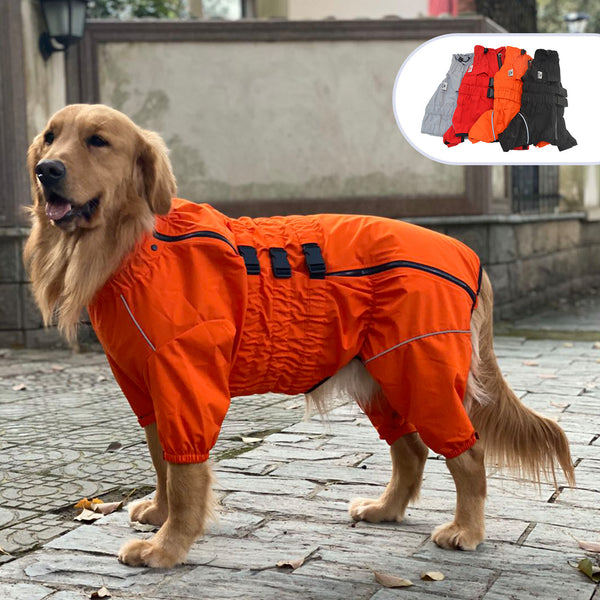 Imperméable pour chien