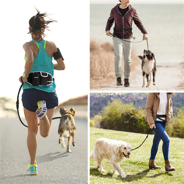 Laisse d'Entraînement pour Chien avec Sac à Taille, Laisse Sans Mains pour Course et Promenade en Extérieur, Sac Portatif pour Nourriture et Eau pour Chien, Sacs de Rangement