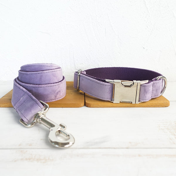 Collier et laisse pour chiens de compagnie