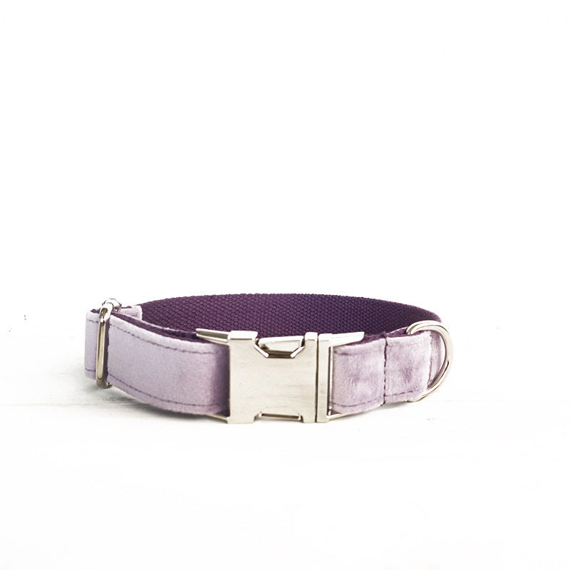Collier et laisse pour chiens de compagnie