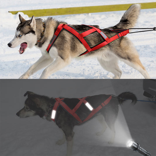 Gilet pour Chien Grand Taille Alaska Sled Dog avec Corde de Maintien