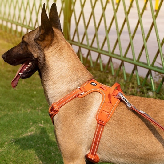 Harnais pour Chiens, Corde de Main Réfléchissante pour Animaux.