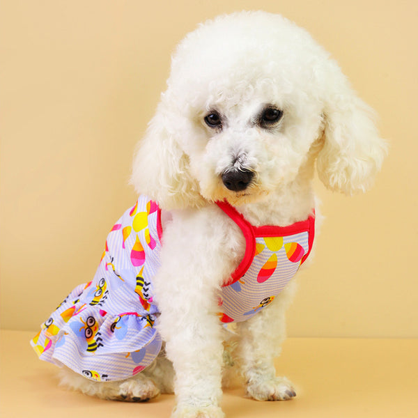 Une robe de princesse pour chien