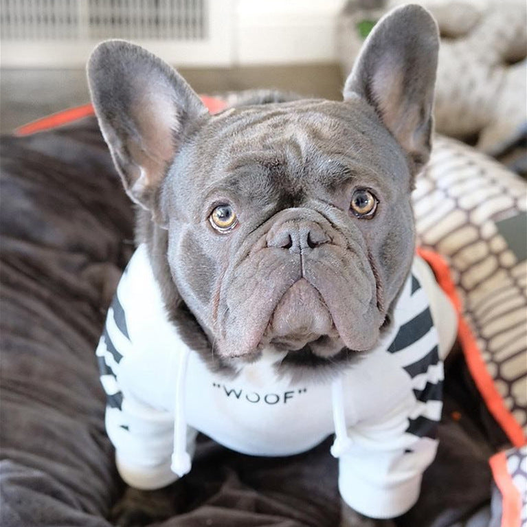 Pull pour chien à trois bandes