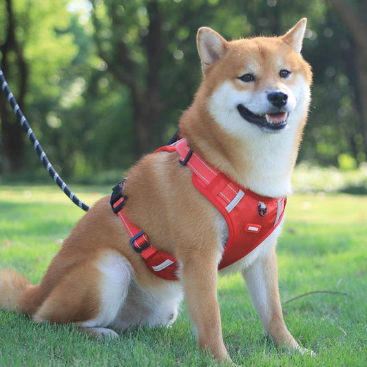 Harnais pour chien en nylon sans traction, respirant, avec gilet réfléchissant pour petits et grands chiens, idéal pour la course en extérieur et l'entraînement des chiens.