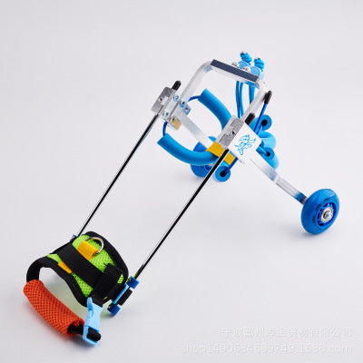 Scooter pour chiens handicapés