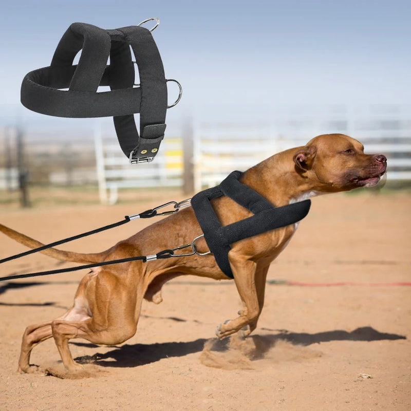 Harnais de Traction pour Chien avec Rembourrage Doux, Harnais pour Chiens Pitbull.