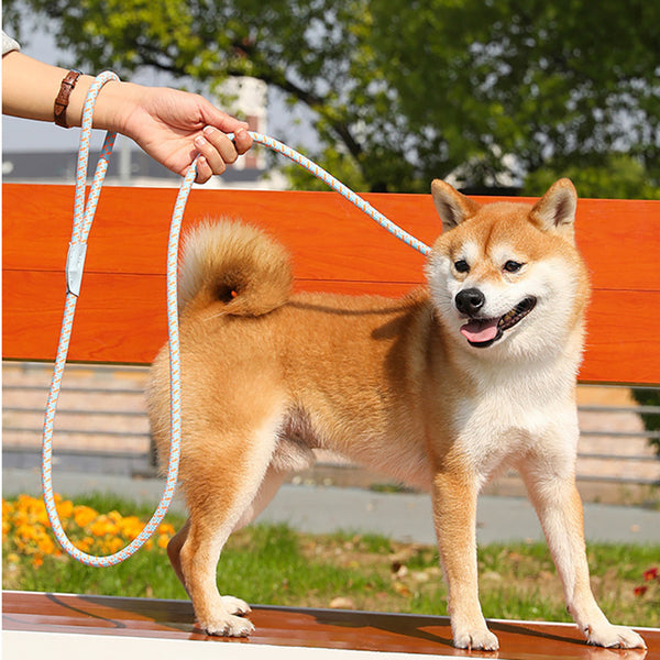 Corde pour Chien, Corde de Traction pour Animaux, Sangle pour Chiot