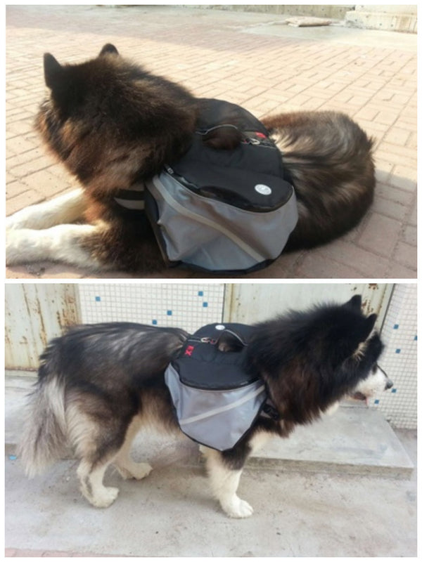 Sac à dos pour chiens