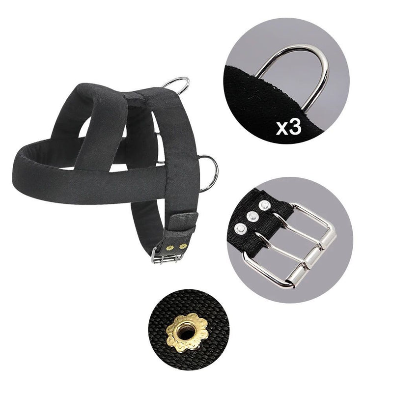 Harnais de Traction pour Chien avec Rembourrage Doux, Harnais pour Chiens Pitbull.