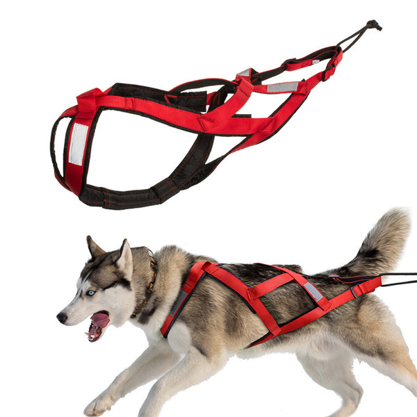 Harnais de Poitrine pour Chien pour Traîneau en Extérieur
