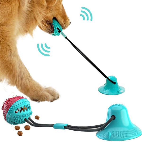 Jouets pour Chien avec Coupelle en Silicone à Ventouse, Jouet Interactif en Forme de Balle pour Chien, Jouet à Mâcher, Morsure, Nettoyage des Dents, Brosse à Dents, Nourrissage, Fournitures pour Animaux.