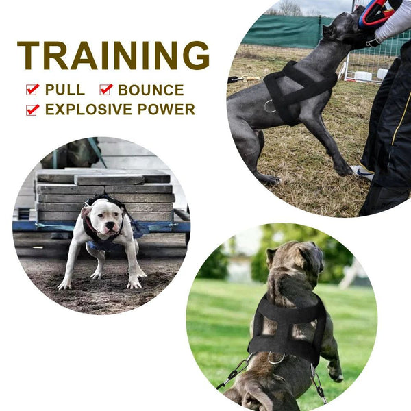 Harnais de Traction pour Chien avec Rembourrage Doux, Harnais pour Chiens Pitbull.